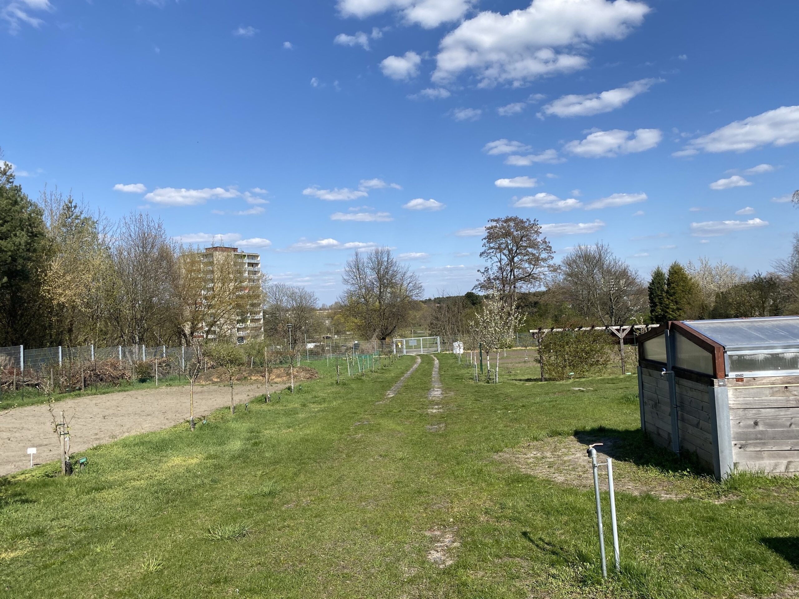 Biogarten Möbius, Foto: Stadt Eisenhüttenstadt, Foto: Stadt Eisenhüttenstadt