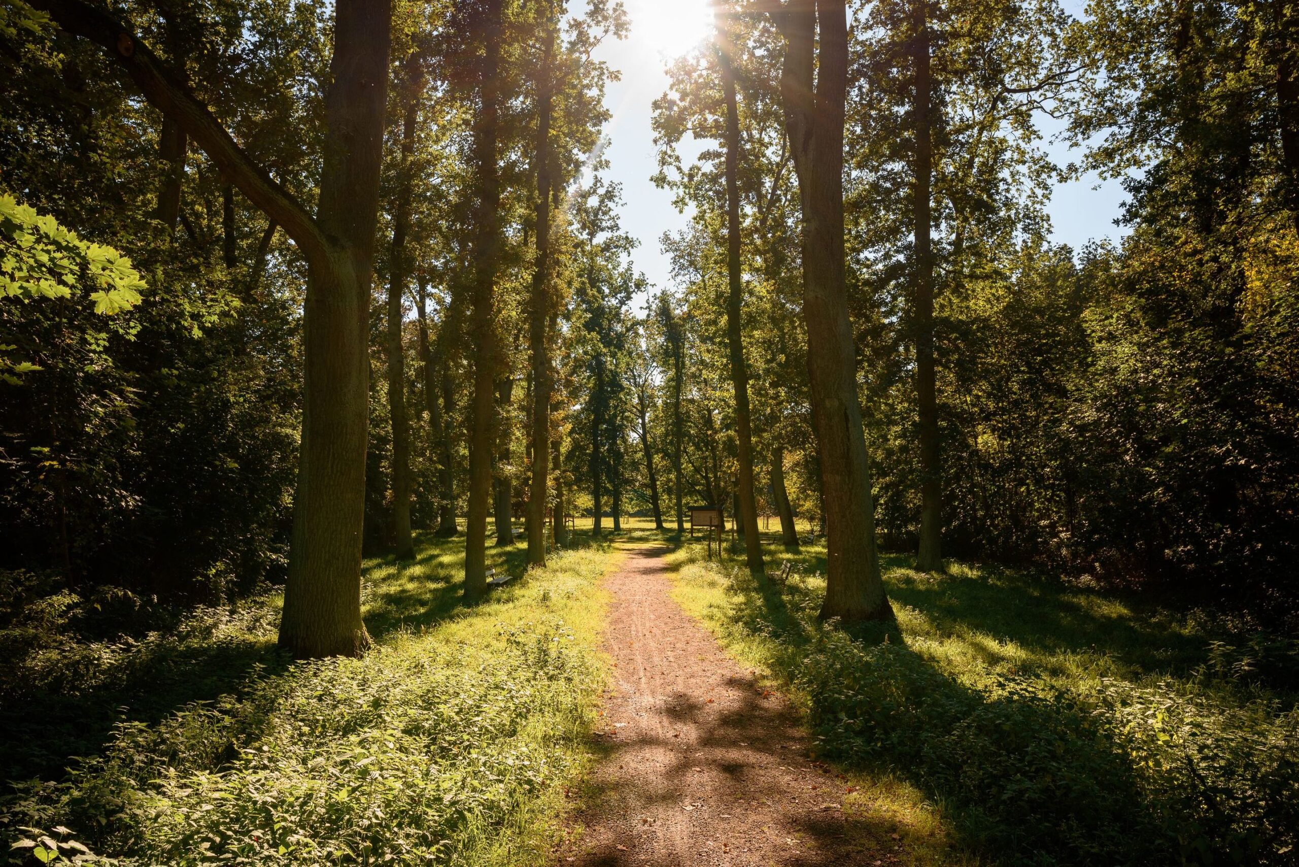 Arboretum, Foto: Stadt Eisenhüttenstadt